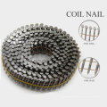 Nouveau design Screw Shank Wire Coil Nails avec un bon prix